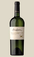 Anakena Sauvignon Blanc Single Vineyard Range 0,75 l - Ein sehr aromatischer und komplexer Sauvignon Blanc. Dieser reiche Wein vereint Kr�uter, schwarze Johannisknospen, Mango und Limettenaromen. Am Gaumen ist er frisch und spritzig mit mineralischen T�ne...